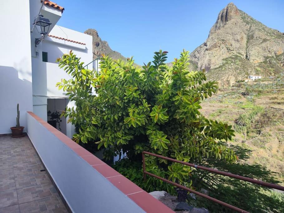 Вилла La Casa Vieja Санта-Крус-де-Тенерифе Экстерьер фото